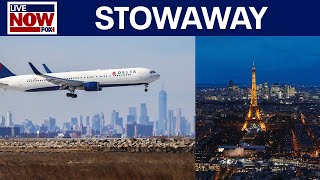 Stowaway found bathroomhopping on Delta flight from New York to Paris  LiveNOW from FOX [upl. by Liban972]