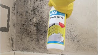 Remove black mould and mildew from bathroom and kitchen wall using HG mould spray from BampQ Wickes [upl. by Aikim]