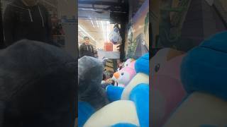 Ganamos a quot Taghi quot clawmachine squishmallows cat lyrics catlover claw win shortvideo [upl. by Shaylynn407]