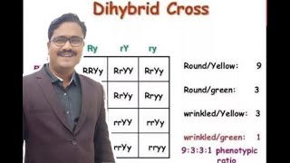 Dihybrid Cross [upl. by Fusco]