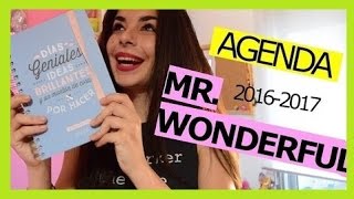 AGENDA MRWONDERFUL 20162017 REVIEW Lucilwii2 [upl. by Ellehsor]