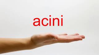 How to Pronounce acini  American English [upl. by Euh]