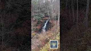 Pipestem Falls is next up on the westvirginia waterfalltrail [upl. by Elyr832]