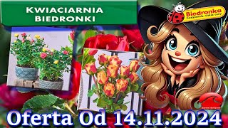 𝐁𝐈𝐄𝐃𝐑𝐎𝐍𝐊𝐀🐞Kwiaciarnia Biedronki Nowa Oferta Od 14112024  Kwiatowe Inspiracje Biedronki Ta [upl. by Drolyag454]