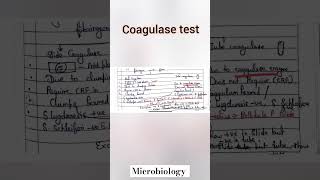 Coagulase test microbiologybiochemical testmltytshorts shortvideomicrobiologyviralshorts [upl. by Kippar]