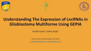 Understanding The Expression of LncRNAs in Glioblastoma Multiforme Using Gepia [upl. by Najed]