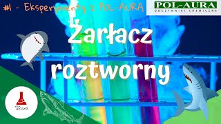 Żarłacz Roztworny  Eksperymenty z PolAurą [upl. by Anawal49]