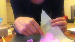 Easy Fondant Flower Tutorial [upl. by Sihun]