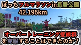 オーバートレーニング症候群に悩まされる夢望ランナーが長居公園でぼっちフルマラソンを敢行しました [upl. by Carin]