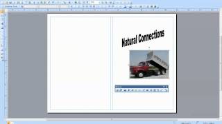 Creating a Brochure in Publisher [upl. by Hgielsel374]