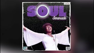 FREE 70s Soul Sample Pack  Layercake Samples [upl. by Ellebyam]