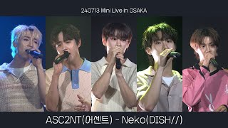 4K Fancam ASC2NT  NekoOriginal DISH  240713 Mini Live in Osaka [upl. by Llerehs]