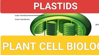 PLASTID I CELL BIOLOGY INEETI JPSC UPSC UPPCS BPSC AND ALL GOVERNMENT EXAMS [upl. by Manvil]