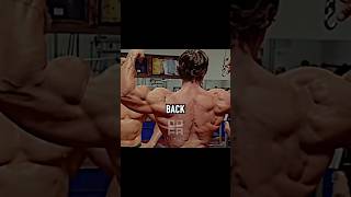 ARNOLDs Top back exercise gymmotivation viral short 🔥🔥 [upl. by Nodearb]