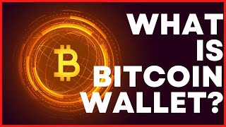 What is a Bitcoin Wallet How to send the Bitcoin  Crypto Wallet Explained [upl. by Eey854]