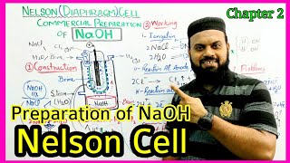 Nelson Cell  Commercial Preparation of NaOH by diaphragm Cell  Electrolysis of Brine  Urdu [upl. by Knobloch]