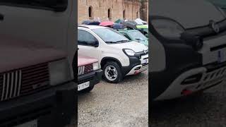 Fiat Panda a Pandino 2024 fiat fiatpanda automobile [upl. by Surtimed]