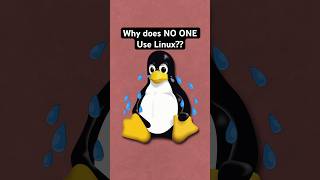 Why does NO ONE use Linux [upl. by O'Carroll]