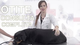 OTITE  Consulta Veterinária completa [upl. by Sivrep]