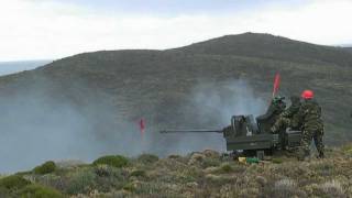 Rheinmetall Mk20 Rh202 Twin AA firing [upl. by Horatio]