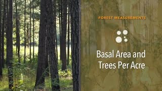 Forest Measurements Basal Area and Trees per Acre [upl. by Brant]