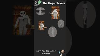 Shorts Australia Dreamtime Ungambikula Creation [upl. by Shuping142]