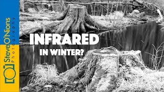 Landscape Film Photography  Infrared Midwinter Forest Shoot [upl. by Platto918]