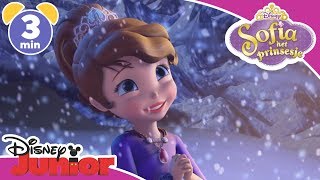 Sofia het Prinsesje  Magisch Moment Sofia de Beschermer  Disney Junior BE [upl. by Tichonn]