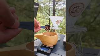 V60 Coffee Brewing in forest 🏕️☕ ASMR shorts youtubeshorts [upl. by Kania527]