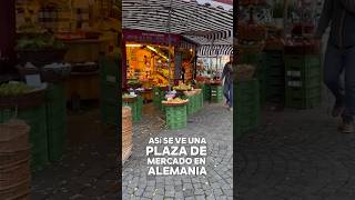 Vida en Alemania La alimentación saludable empieza en la plaza de mercado [upl. by Ludlow171]