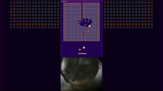 chipi chipi chapa chapa cat meme brickmania game short short catmeme cute cat [upl. by Ymrej523]