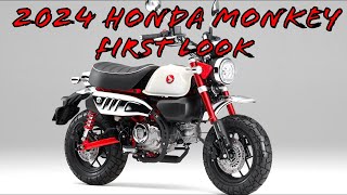 2024 Honda Monkey First Look [upl. by Naillik]