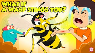 Are Wasp Stings Dangerous  What if a Wasp Stings You  How to Treat a Wasp Sting  Dr Binocs [upl. by Luisa506]