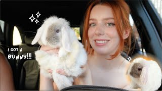 GETTING MY DREAM PET first 72 hours with baby mini lop bunny [upl. by Scully]