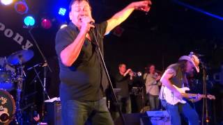 Southside JohnnyThis Time Its For RealStone Pony22213 [upl. by Urias183]