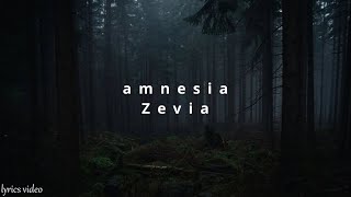 Zevia  amnesia LYRICS [upl. by Tessa173]