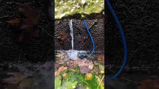 Le son de la source de la cuisine aux fées 💧🧚‍♀️ avec micro hydrophone [upl. by Archer162]