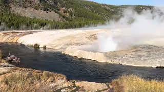 Yellowstone fumaroles next to trout river [upl. by Ardnoik668]