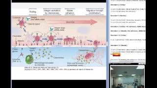 How does your immune system work  Emma Bryce [upl. by Comfort]