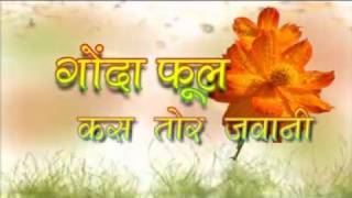 GONDA PHOOL KAS TOR JAWANI TITLE SB MUSIC KORBA NEW CHHATTIS GARHI CG SONG [upl. by Hanselka639]