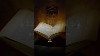 Quran ayat lyrics qurantilawat quran surah islamicstatus shortvideo shorts subscribe♥️♥️💗💗 [upl. by Rubinstein911]