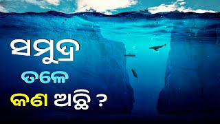 ସମୁଦ୍ର ତଳେ କଣ ଅଛି  How Deep is the Sea  What is below the Sea  Mariana Trench [upl. by Tdnarb6]