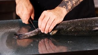 Making Initial Cuts to Fillet Salmon  Fish Filleting [upl. by Nnylrats537]