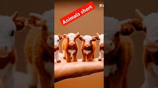 funny cow fart soundeffects animals memes tagmusic hybridanimals cat tag [upl. by Atiuqad578]