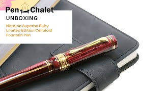 A Fountain Pen Masterpiece Nettuno Superba Ruby Limited Edition Celluloid [upl. by Ecneret]