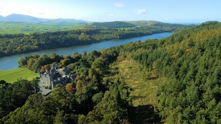 Castlewellan Forest Park [upl. by Ellened742]