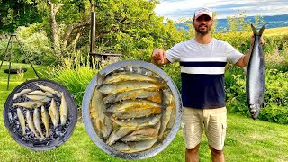 Catch and Cooked Atlantic herring Fish with fishing rod on a Norway fjord The taste is just a bomb [upl. by Ahsoik]