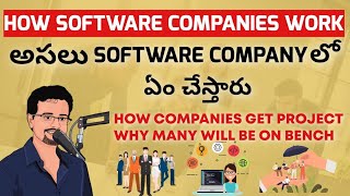 How Software Companies Work  అసలు సాఫ్ట్వేర్ కంపెనీ లో ఎం చేస్తారు [upl. by Ameen]