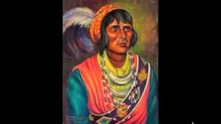 Seminole Wind  John Anderson  Historical Narrative [upl. by Wadleigh102]