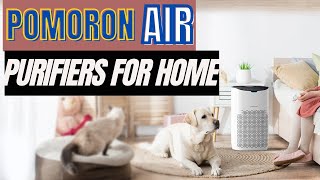 Pomoron Air Purifiers  Air Purifiers For Home [upl. by Ahsanat369]